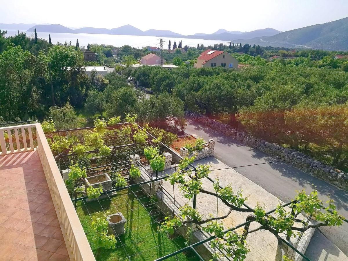 Apartments Kola Banići Eksteriør bilde